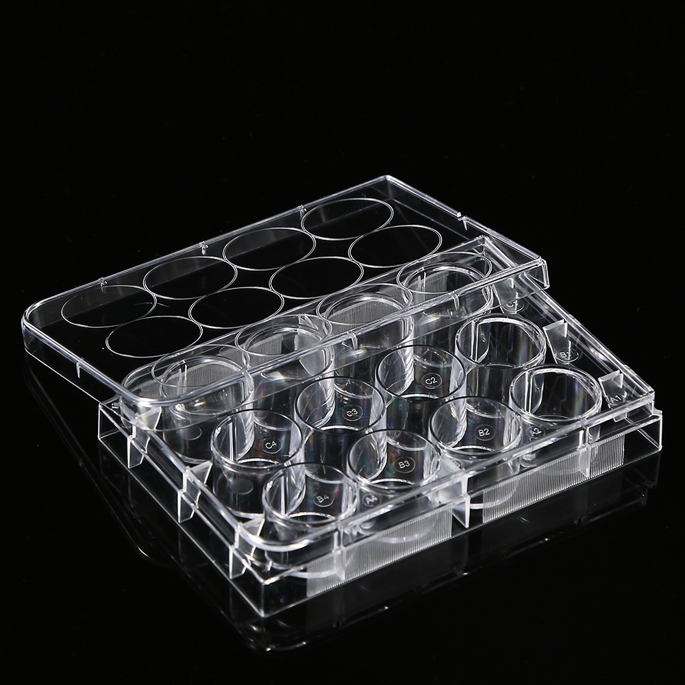 5Pcs Polystyrene 12 Well Petri - Medical Wellness & Spa Werona recensie en prijs