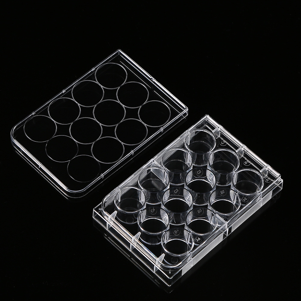 5Pcs Polystyrene 12 Well Petri - Medical Wellness & Spa Werona recensie en prijs